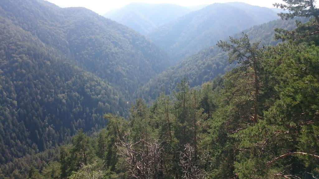Štúdiá Pohoda Čingov Slovenský raj Spišské Tomášovce Esterno foto