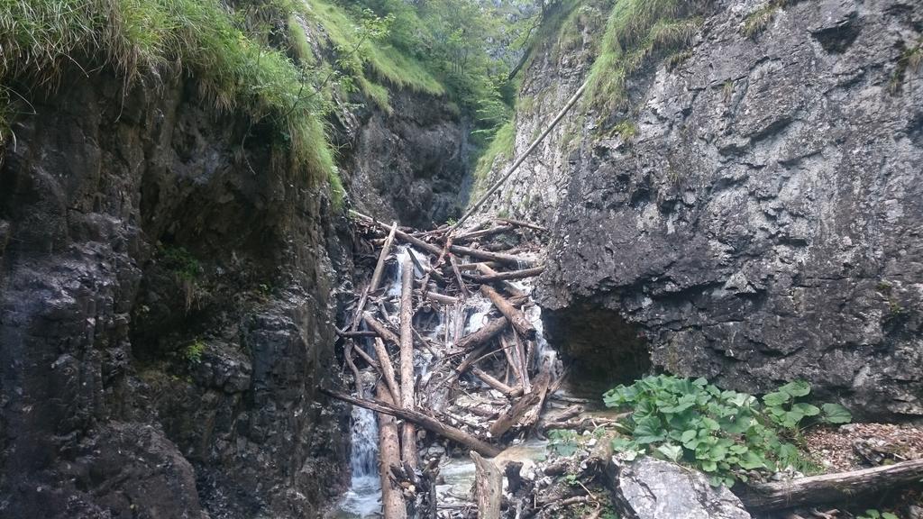 Štúdiá Pohoda Čingov Slovenský raj Spišské Tomášovce Esterno foto