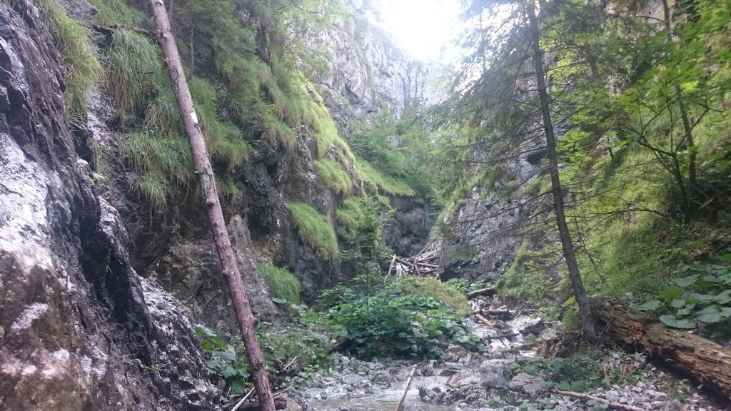 Štúdiá Pohoda Čingov Slovenský raj Spišské Tomášovce Esterno foto